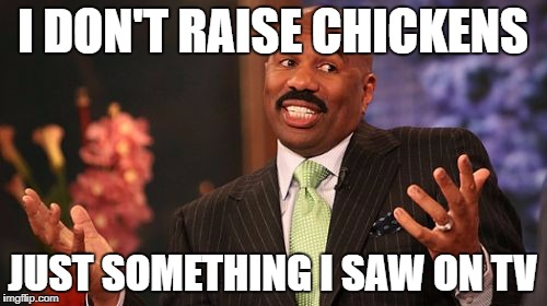 Steve Harvey Meme | I DON'T RAISE CHICKENS JUST SOMETHING I SAW ON TV | image tagged in memes,steve harvey | made w/ Imgflip meme maker