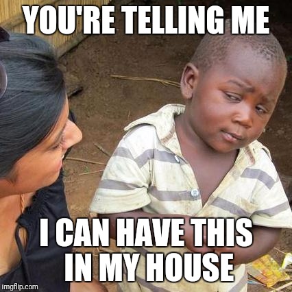 Third World Skeptical Kid | YOU'RE TELLING ME; I CAN HAVE THIS IN MY HOUSE | image tagged in memes,third world skeptical kid | made w/ Imgflip meme maker