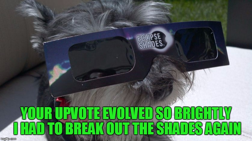YOUR UPVOTE EVOLVED SO BRIGHTLY I HAD TO BREAK OUT THE SHADES AGAIN | made w/ Imgflip meme maker