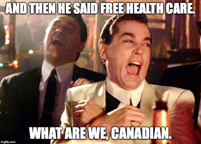 I Love Being Canadian  | AND THEN HE SAID FREE HEALTH CARE. WHAT ARE WE, CANADIAN. | image tagged in health care,memes,canadian | made w/ Imgflip meme maker