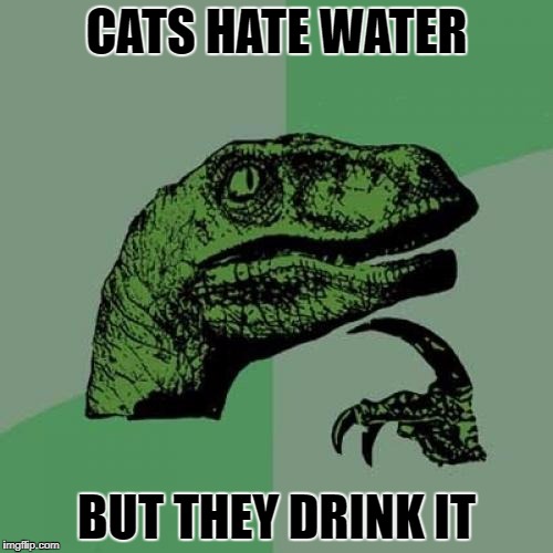 Philosoraptor | CATS HATE WATER; BUT THEY DRINK IT | image tagged in memes,philosoraptor | made w/ Imgflip meme maker