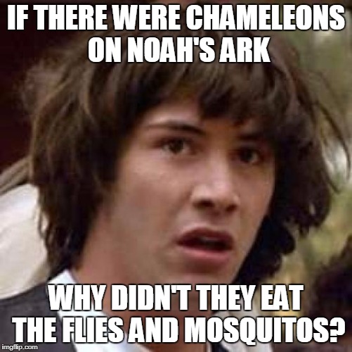 Conspiracy Keanu Meme | IF THERE WERE CHAMELEONS ON NOAH'S ARK WHY DIDN'T THEY EAT THE FLIES AND MOSQUITOS? | image tagged in memes,conspiracy keanu | made w/ Imgflip meme maker