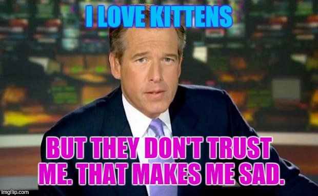 Brian Williams Feels Sad :(::: | I LOVE KITTENS; BUT THEY DON'T TRUST ME. THAT MAKES ME SAD. | image tagged in funny,brian williams was there,humor,memes,cats,animals | made w/ Imgflip meme maker