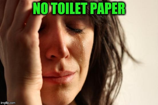 First World Problems Meme | NO TOILET PAPER | image tagged in memes,first world problems | made w/ Imgflip meme maker