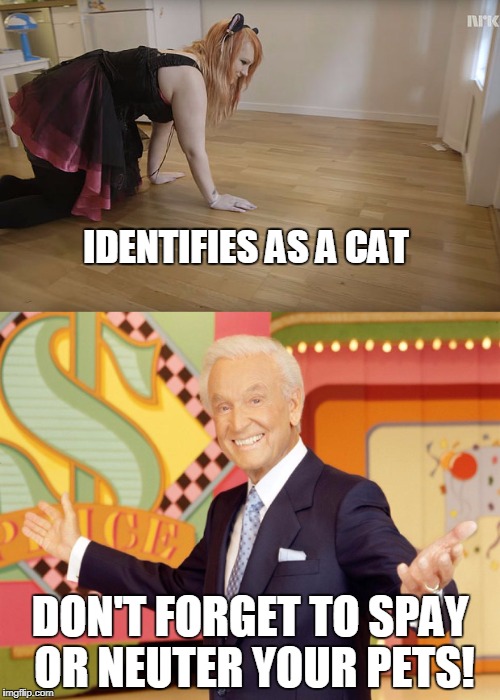 IDENTIFIES AS A CAT; DON'T FORGET TO SPAY OR NEUTER YOUR PETS! | image tagged in the price is right,identify,liberal vs conservative | made w/ Imgflip meme maker