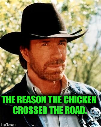Chuck Norris Meme | THE REASON THE CHICKEN CROSSED THE ROAD. | image tagged in memes,chuck norris | made w/ Imgflip meme maker