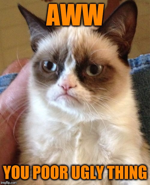 Grumpy Cat Meme | AWW YOU POOR UGLY THING | image tagged in memes,grumpy cat | made w/ Imgflip meme maker