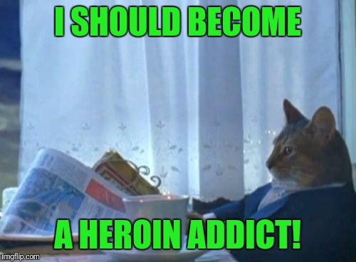 I heard a radio talk show host say that the only things that Afghanistan is good for is heroin & rubble! | I SHOULD BECOME; A HEROIN ADDICT! | image tagged in memes,i should buy a boat cat,heroin,addiction,addict,afghanistan | made w/ Imgflip meme maker