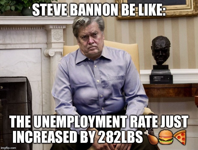 Steve Bannon  | image tagged in steve bannon,unemployment | made w/ Imgflip meme maker