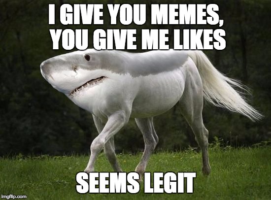 I GIVE YOU MEMES, YOU GIVE ME LIKES; SEEMS LEGIT | image tagged in seems legit | made w/ Imgflip meme maker