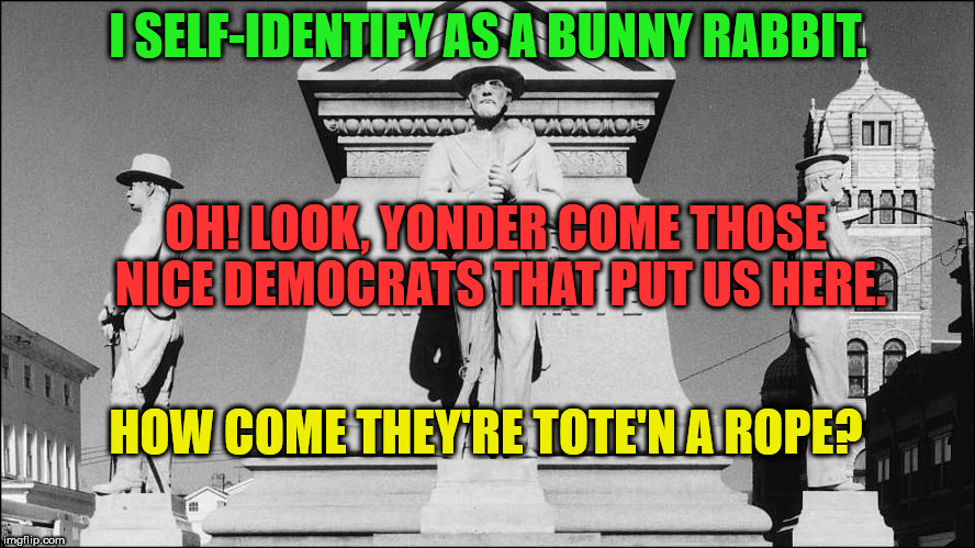 I SELF-IDENTIFY AS A BUNNY RABBIT. OH! LOOK, YONDER COME THOSE NICE DEMOCRATS THAT PUT US HERE. HOW COME THEY'RE TOTE'N A ROPE? | image tagged in confederate memorial | made w/ Imgflip meme maker