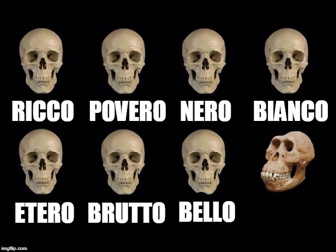 teschi (persona che...) zarrr Blank Meme Template