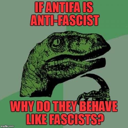 Philosoraptor Meme | IF ANTIFA IS ANTI-FASCIST WHY DO THEY BEHAVE LIKE FASCISTS? | image tagged in memes,philosoraptor | made w/ Imgflip meme maker
