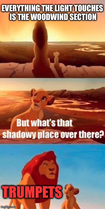 Simba Shadowy Place Meme | EVERYTHING THE LIGHT TOUCHES IS THE WOODWIND SECTION; TRUMPETS | image tagged in memes,simba shadowy place | made w/ Imgflip meme maker