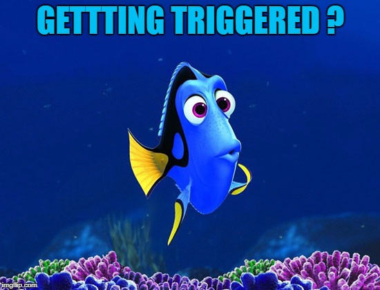 Dory | GETTTING TRIGGERED ? | image tagged in dory | made w/ Imgflip meme maker