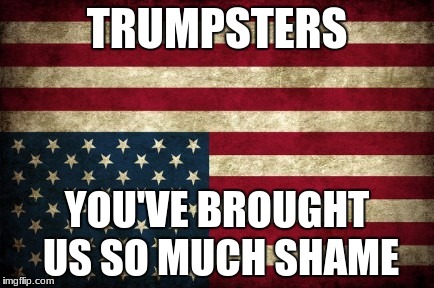 Trumpsters | TRUMPSTERS; YOU'VE BROUGHT US SO MUCH SHAME | image tagged in upside down flag,trump,trumpster | made w/ Imgflip meme maker