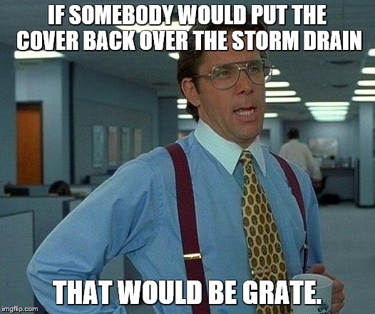 That Would Be Great Meme | IF SOMEBODY WOULD PUT THE COVER BACK OVER THE STORM DRAIN; THAT WOULD BE GRATE. | image tagged in memes,that would be great,bad puns | made w/ Imgflip meme maker