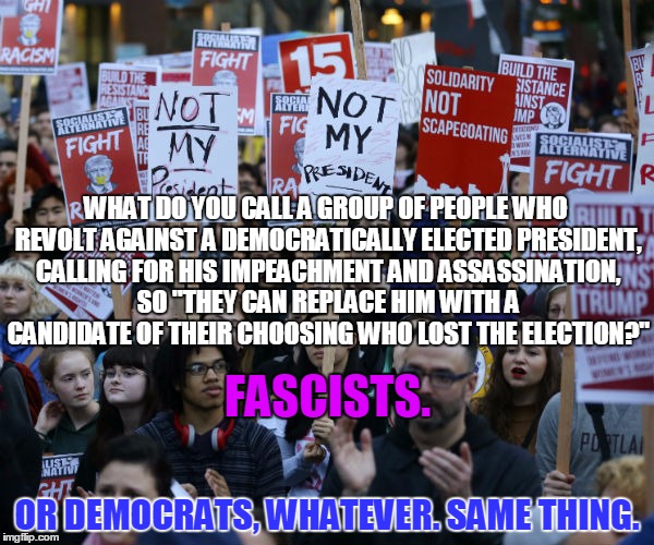 Call It What It Is. | WHAT DO YOU CALL A GROUP OF PEOPLE WHO REVOLT AGAINST A DEMOCRATICALLY ELECTED PRESIDENT, CALLING FOR HIS IMPEACHMENT AND ASSASSINATION, SO "THEY CAN REPLACE HIM WITH A CANDIDATE OF THEIR CHOOSING WHO LOST THE ELECTION?"; FASCISTS. OR DEMOCRATS, WHATEVER. SAME THING. | image tagged in anti trump protest,fascism,democrats | made w/ Imgflip meme maker