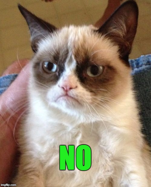 Grumpy Cat Meme | NO | image tagged in memes,grumpy cat | made w/ Imgflip meme maker