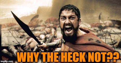 Sparta Leonidas Meme | WHY THE HECK NOT?? | image tagged in memes,sparta leonidas | made w/ Imgflip meme maker