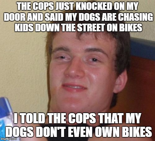 Dogs on Bikes...Yippee | THE COPS JUST KNOCKED ON MY DOOR AND SAID MY DOGS ARE CHASING KIDS DOWN THE STREET ON BIKES; I TOLD THE COPS THAT MY DOGS DON'T EVEN OWN BIKES | image tagged in memes,10 guy | made w/ Imgflip meme maker