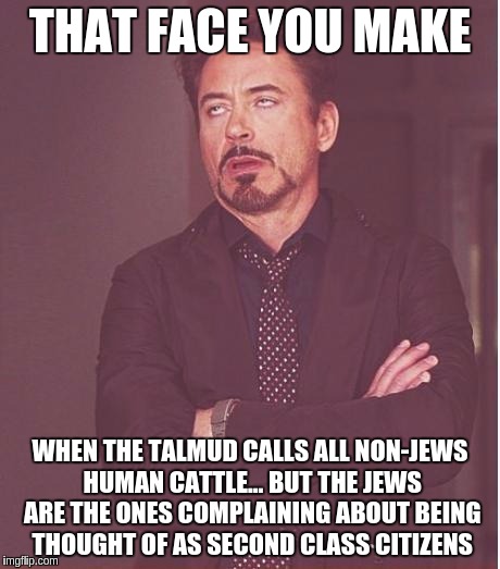 sanhedrin 59a, folks... | THAT FACE YOU MAKE; WHEN THE TALMUD CALLS ALL NON-JEWS HUMAN CATTLE... BUT THE JEWS ARE THE ONES COMPLAINING ABOUT BEING THOUGHT OF AS SECOND CLASS CITIZENS | image tagged in memes,face you make robert downey jr,jews,law | made w/ Imgflip meme maker