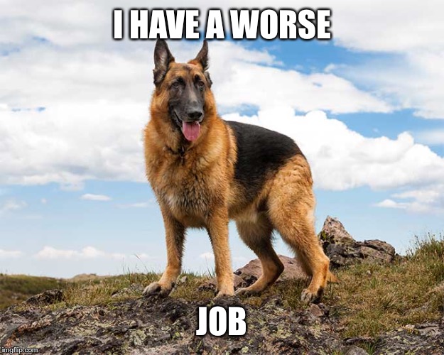 I HAVE A WORSE JOB | made w/ Imgflip meme maker