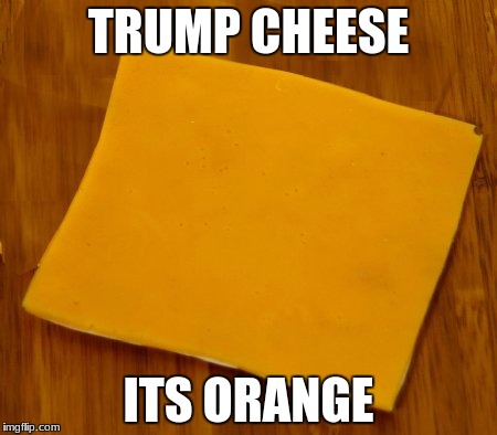 does this make sense | TRUMP CHEESE; ITS ORANGE | image tagged in memes,trump,cheese | made w/ Imgflip meme maker