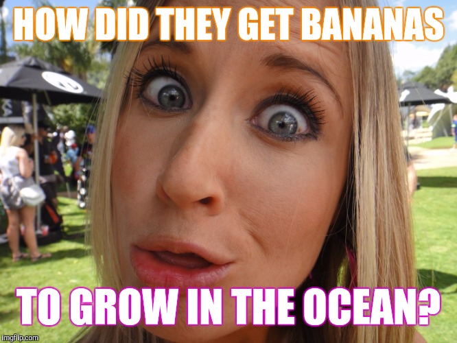 Memes | HOW DID THEY GET BANANAS TO GROW IN THE OCEAN? | image tagged in memes | made w/ Imgflip meme maker