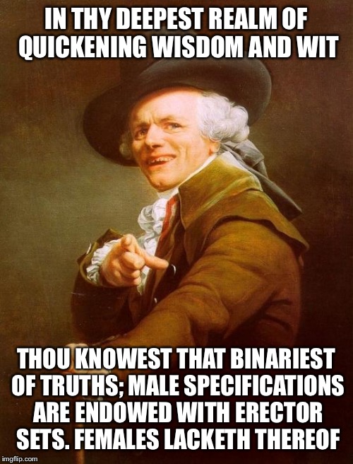 Joseph Ducreux Meme | IN THY DEEPEST REALM OF QUICKENING WISDOM AND WIT; THOU KNOWEST THAT BINARIEST OF TRUTHS; MALE SPECIFICATIONS ARE ENDOWED WITH ERECTOR SETS. FEMALES LACKETH THEREOF | image tagged in memes,joseph ducreux | made w/ Imgflip meme maker