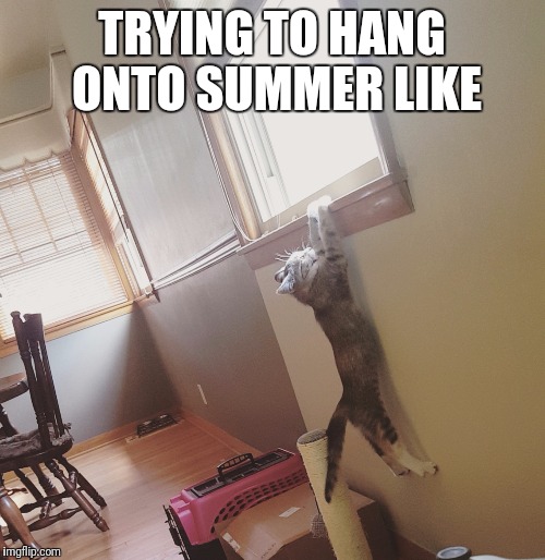 TRYING TO HANG ONTO SUMMER LIKE | image tagged in teacher meme | made w/ Imgflip meme maker