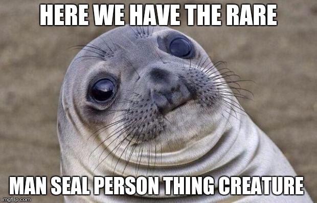 Awkward Moment Sealion Meme | HERE WE HAVE THE RARE; MAN SEAL PERSON THING CREATURE | image tagged in memes,awkward moment sealion | made w/ Imgflip meme maker