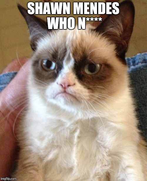 Grumpy Cat | SHAWN MENDES WHO N**** | image tagged in memes,grumpy cat | made w/ Imgflip meme maker