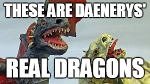 Daenerys Dragons | THESE ARE DAENERYS'; REAL DRAGONS | image tagged in dragons,game of thrones | made w/ Imgflip meme maker