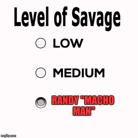 Savage Level | RANDY "MACHO MAN" | image tagged in savage level | made w/ Imgflip meme maker