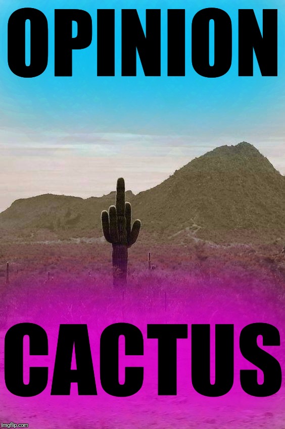 Someone needs a hug... |  OPINION; CACTUS | image tagged in memes,opinion,cactus,wild west,arizona | made w/ Imgflip meme maker