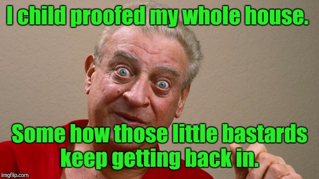 Rodney Dangerfield  | I child proofed my whole house. Some how those little bastards keep getting back in. | image tagged in rodney dangerfield | made w/ Imgflip meme maker