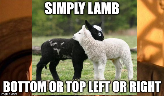 NO DIVIDE  | SIMPLY LAMB; BOTTOM OR TOP LEFT OR RIGHT | image tagged in love,unity,peace,together,harmony,acceptance | made w/ Imgflip meme maker