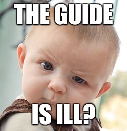 Skeptical Baby Meme | THE GUIDE IS ILL? | image tagged in memes,skeptical baby | made w/ Imgflip meme maker