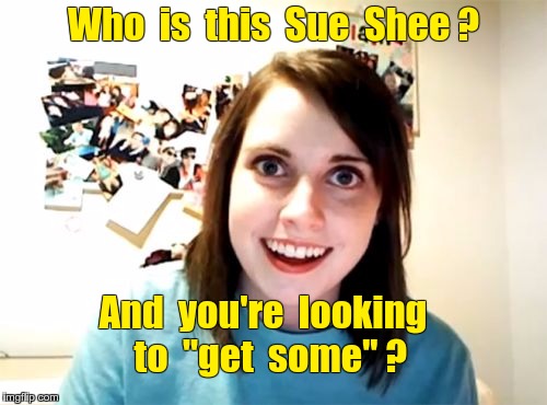 Sounds fishy ... | Who  is  this  Sue  Shee ? And  you're  looking  to  "get  some" ? | image tagged in memes,overly attached girlfriend | made w/ Imgflip meme maker