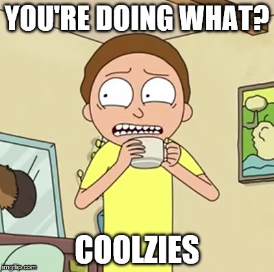 Morty Themed "WTF" Moment  | YOU'RE DOING WHAT? COOLZIES | image tagged in rick and morty | made w/ Imgflip meme maker