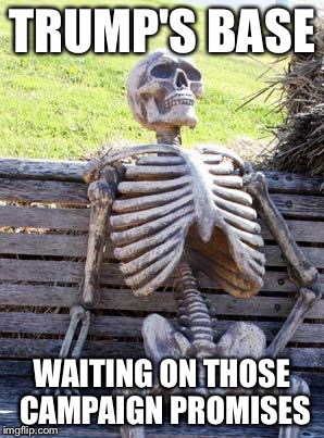 Waiting Skeleton Meme | TRUMP'S BASE WAITING ON THOSE CAMPAIGN PROMISES | image tagged in memes,waiting skeleton | made w/ Imgflip meme maker