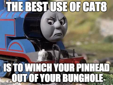 Thomas The Crap Engine | THE BEST USE OF CAT8; IS TO WINCH YOUR PINHEAD OUT OF YOUR BUNGHOLE | image tagged in thomas the crap engine | made w/ Imgflip meme maker