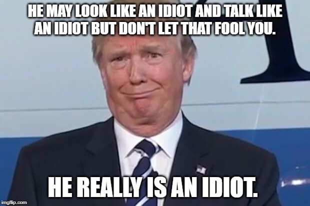 donald trump |  HE MAY LOOK LIKE AN IDIOT AND TALK LIKE AN IDIOT BUT DON'T LET THAT FOOL YOU. HE REALLY IS AN IDIOT. | image tagged in donald trump | made w/ Imgflip meme maker