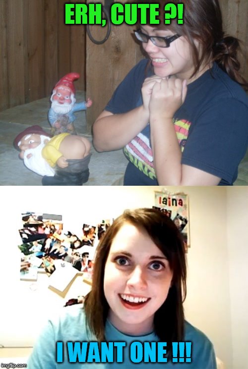 Girls do like a firm bottom ! | ERH, CUTE ?! I WANT ONE !!! | image tagged in girl with sexy gnomes,overly attached girlfriend | made w/ Imgflip meme maker