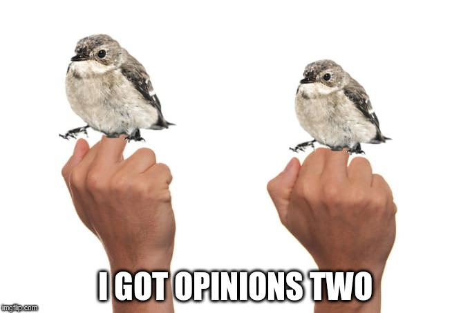 I GOT OPINIONS TWO | made w/ Imgflip meme maker