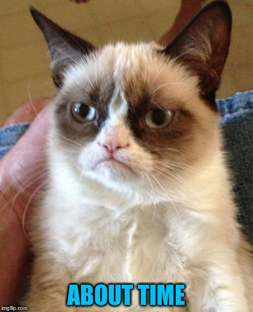 Grumpy Cat Meme | ABOUT TIME | image tagged in memes,grumpy cat | made w/ Imgflip meme maker