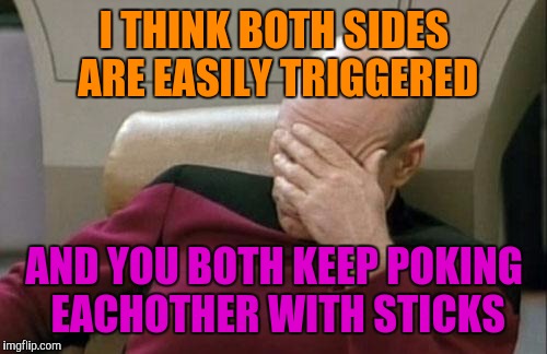 Captain Picard Facepalm Meme | I THINK BOTH SIDES ARE EASILY TRIGGERED AND YOU BOTH KEEP POKING EACHOTHER WITH STICKS | image tagged in memes,captain picard facepalm | made w/ Imgflip meme maker