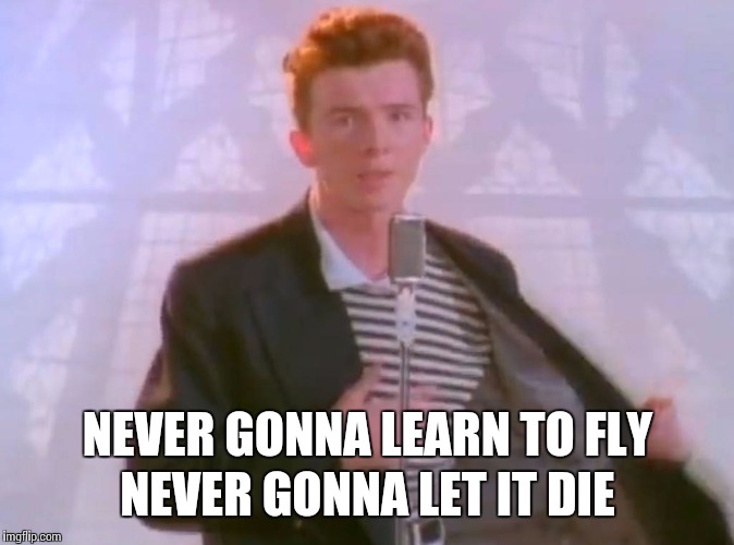 NEVER GONNA LEARN TO FLY NEVER GONNA LET IT DIE | made w/ Imgflip meme maker