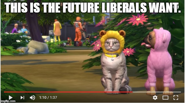 THIS IS THE FUTURE LIBERALS WANT. | image tagged in liberals,cats,dogs | made w/ Imgflip meme maker